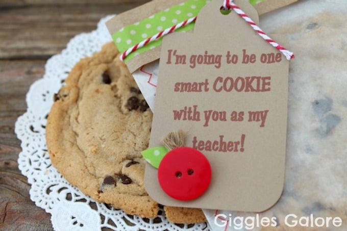 I've put together 14 phenomenal and easy teacher appreciation gift ideas that will show your child's teacher just how much they meant to you! | Design Dazzle