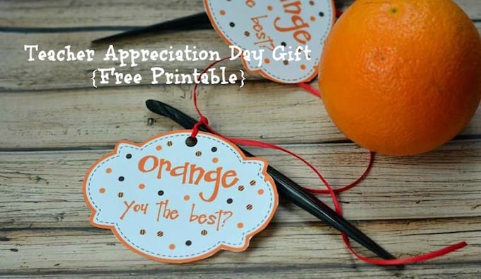 vI've put together 14 phenomenal and easy teacher appreciation gift ideas that will show your child's teacher just how much they meant to you! | Design Dazzle