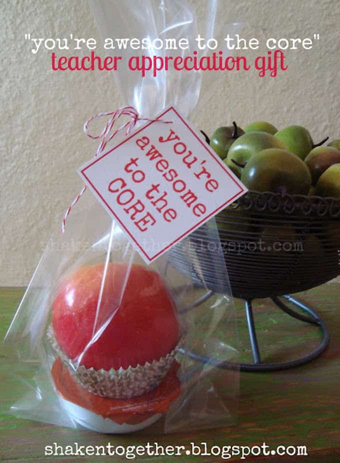 I've put together 14 phenomenal and easy teacher appreciation gift ideas that will show your child's teacher just how much they meant to you! | Design Dazzle