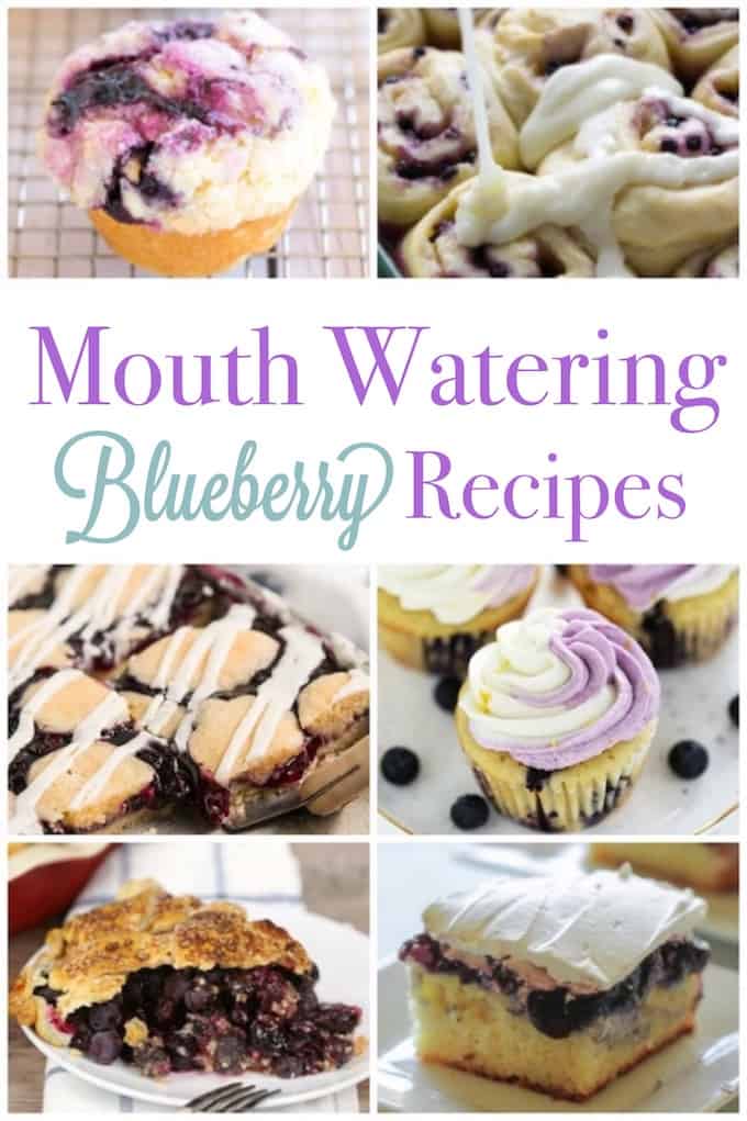 12 Mouth Watering Blueberry Recipes Design Dazzle