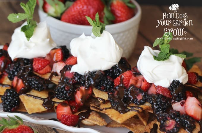 If you're looking for a great way to follow up your hearty plate of nachos, then these delicious dessert nacho recipes might be just what you're looking for! Design Dazzle