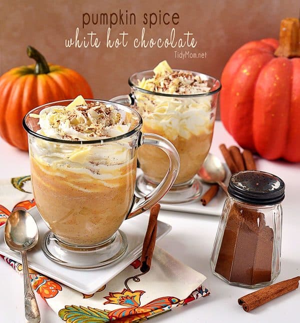 Crisp apples, ripe cranberries and plenty of pumpkin spice go into making these 13 fantastic fall drinks to give you something to look forward to this fall! | fall inspired drink recipes | drink recipes for fall | fall beverages | pumpkin flavored drink recipes | apple flavored drink recipes | pumpkin spice drink recipes || Design Dazzle