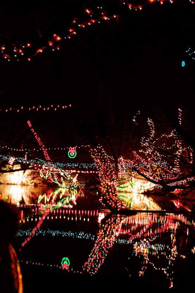 Here are 20 of the most magically-awesome events to do in Southern Utah during the Holiday season! Your family will love all of these events! | Design Dazzle