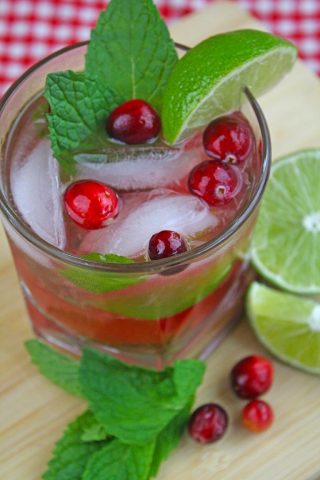Cranberry and Ginger Beer Mistletoe Mojito