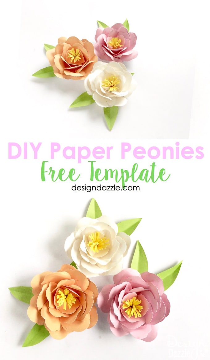 How to make Paper Peonies! Free Template for DIY Paper Peonies at Designdazzle.com