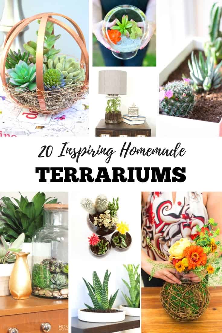 These homemade terrariums will definitely add character to any spot in your home both indoors and outdoors! They are beautiful and unique, and can start nice conversations with family, friends, and guests.