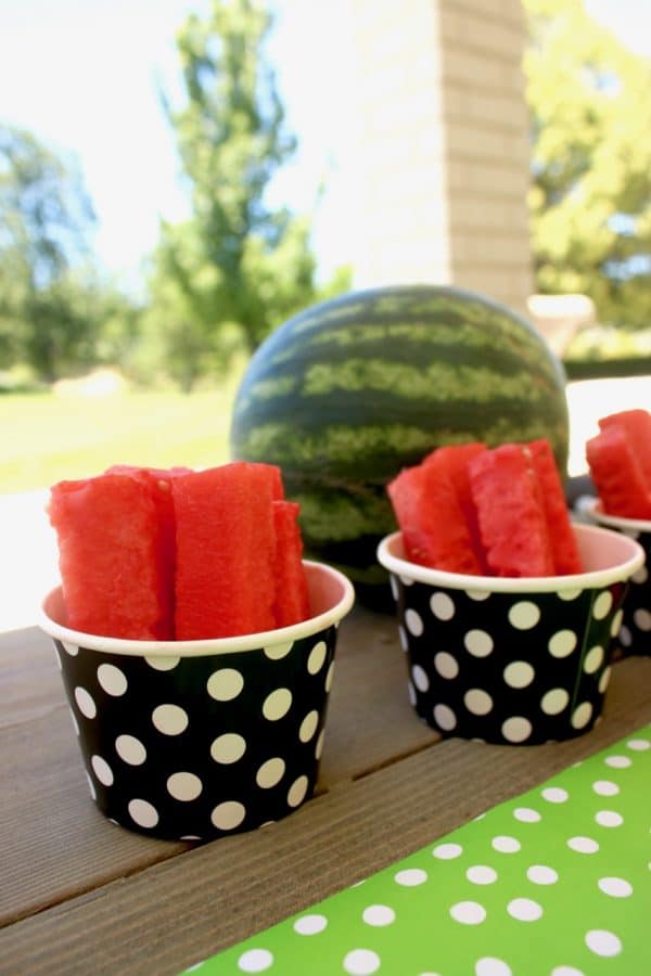 Watermelon Summer Kids Party | Design Dazzle