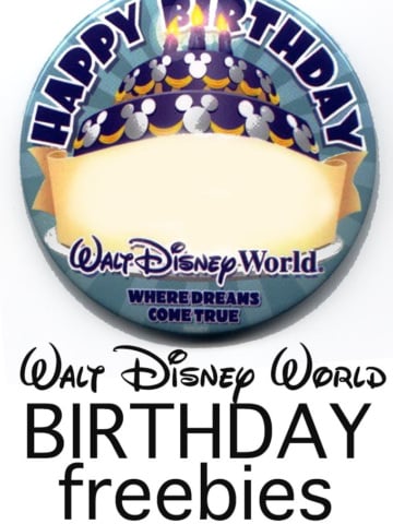 Learn about the Walt Disney World Birthday Freebies | Design Dazzle