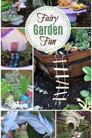 Fairy garden fun