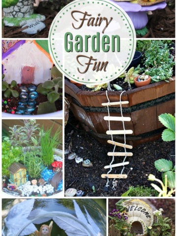 Fairy garden fun