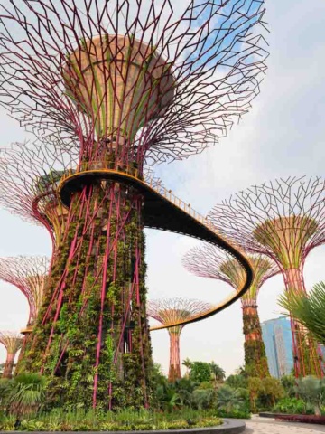 Gardens by the bay 1