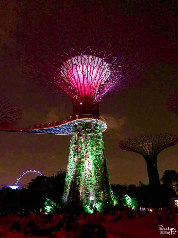 Singapore is is a city bursting at the seams with attractions that are impressive. Read this post to see what we did and where we went while we were there! | Design Dazzle