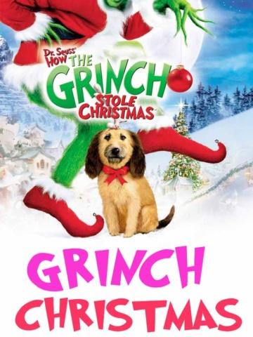 Grinch Christmas gift ideas