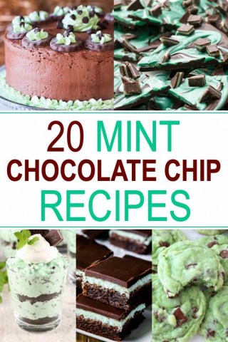 Mint chocolate chip recipes text
