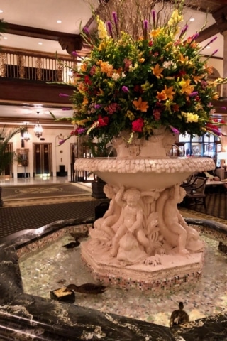 Memphis Duck March at The Peabody Hotel