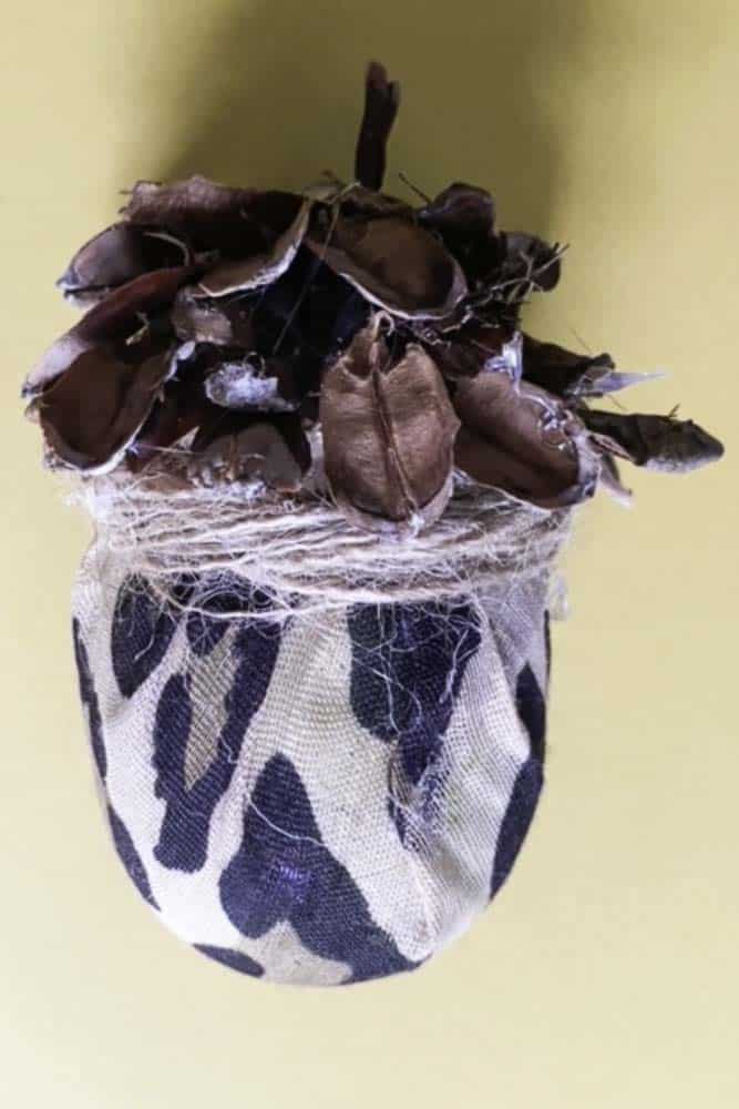 decorative acorns