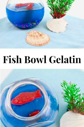 Fish Bowl Gelatin