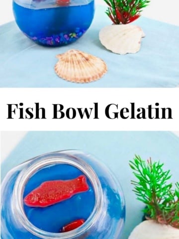 Fish Bowl Gelatin