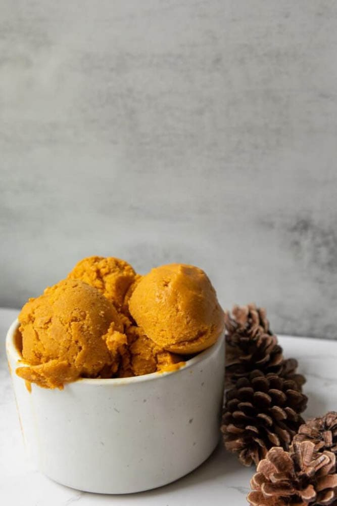 DIY Pumpkin Ice Cream