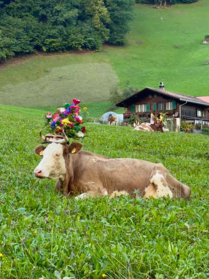 Scenic views in Switzerland