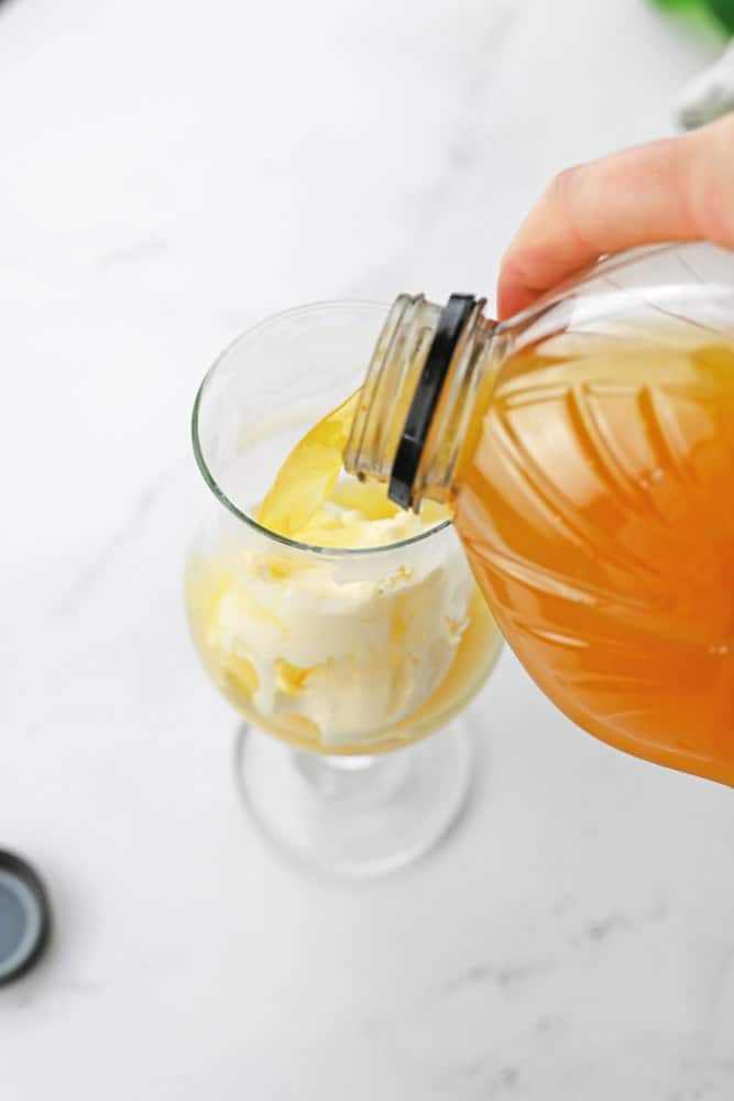 Apple Cider Ginger Ale Float