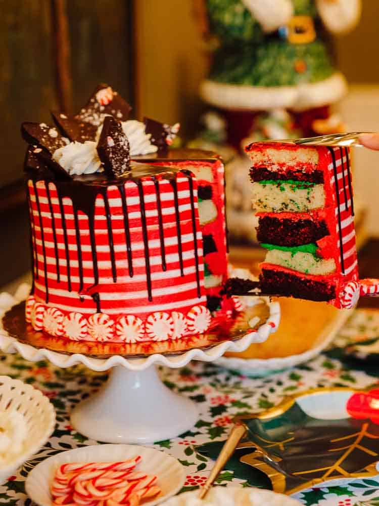 Christmas Cake for a Cookie Decorating Party