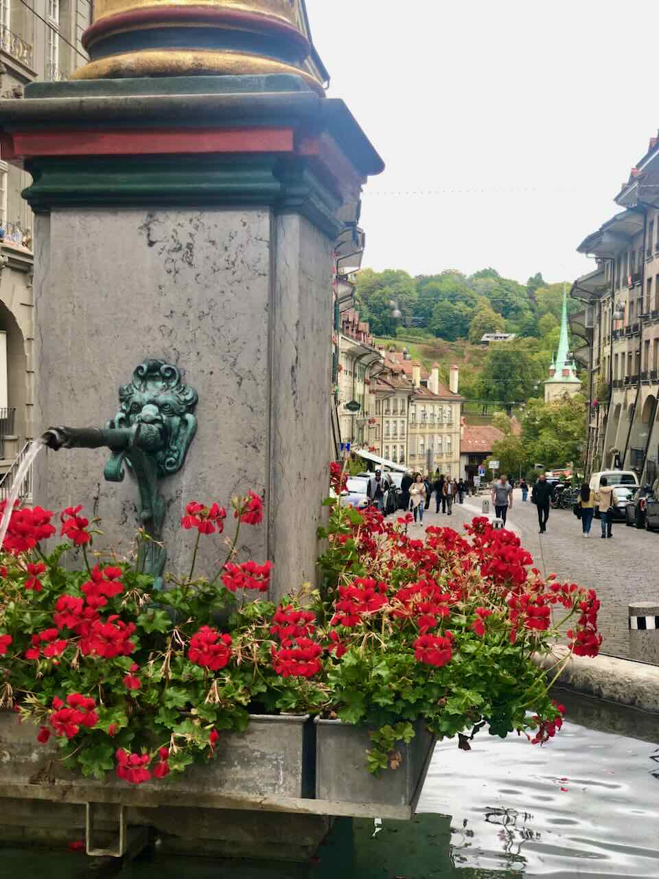 Bern flowers