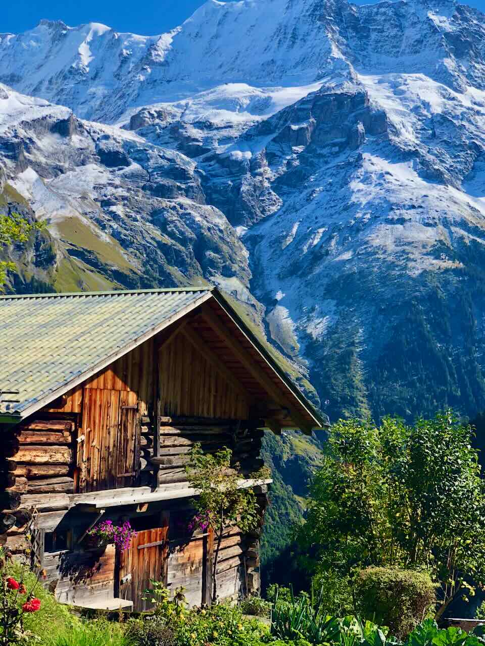 mountain cabin